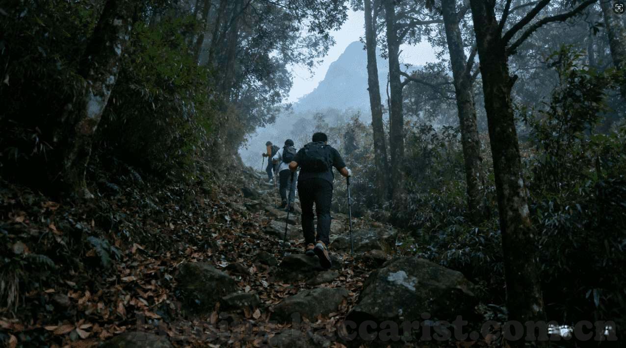 怎样看世界杯彩票-世界杯彩票，理性投注，享受足球的乐趣